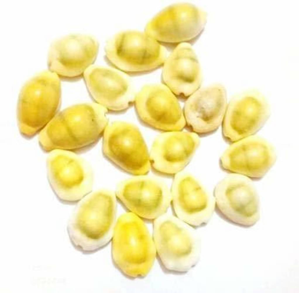     			Shri Astha Vinayak Kowdi 20 ( Pack of 20 )