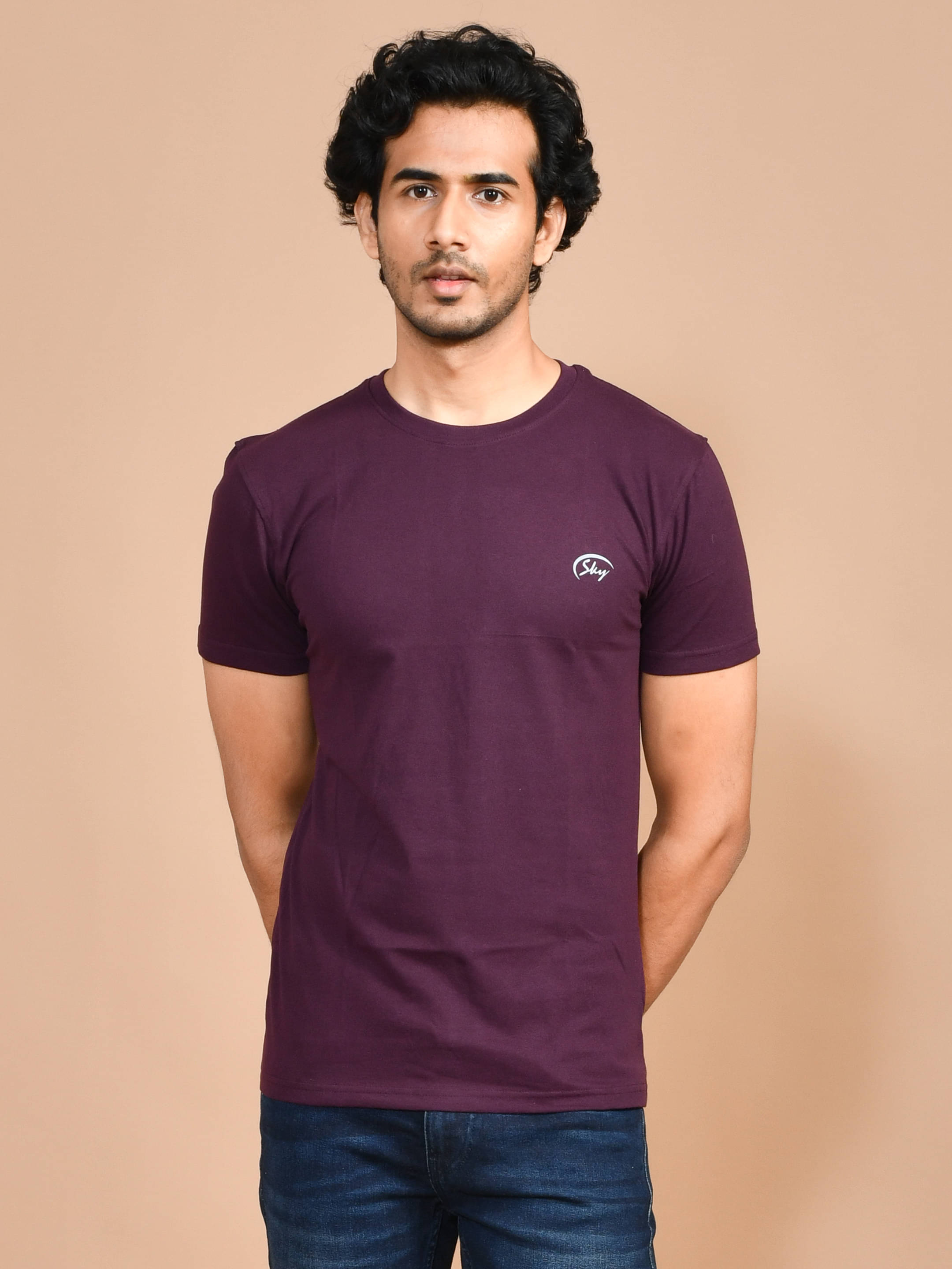     			SKYKNIT Pack of 1 Cotton Blend Regular Fit Men's T-Shirt ( Maroon )
