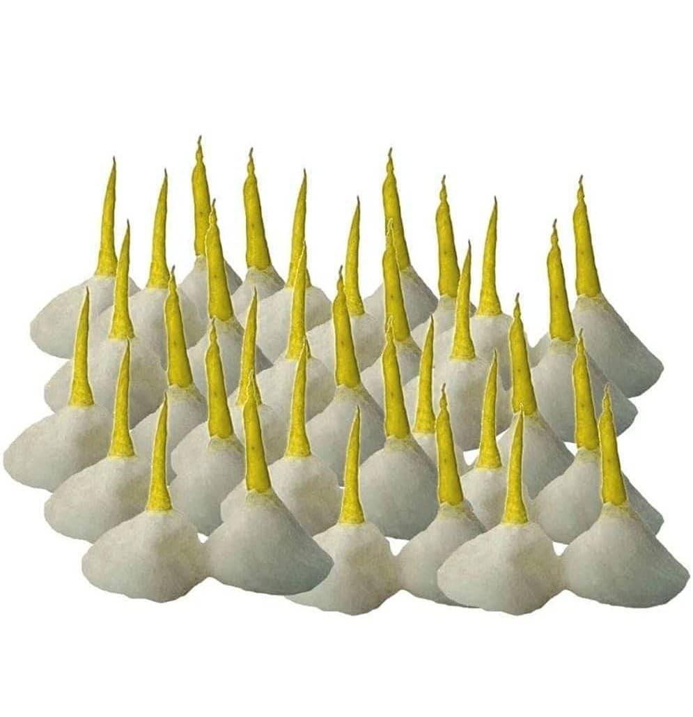     			SHIVSHAKTI Diya Ghee Diya Batti ( Pack of 1 )