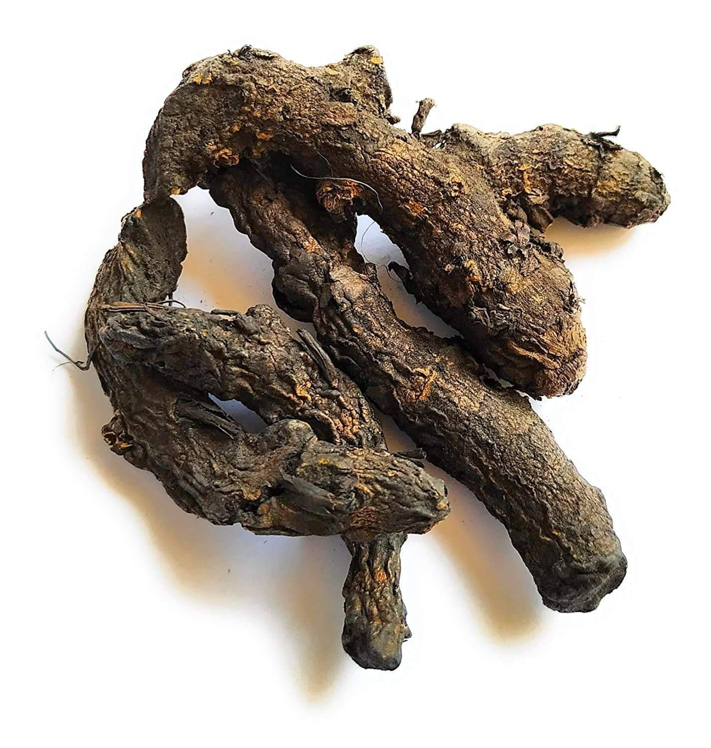     			SHIVSHAKTI Pooja Kit BLACK TURMERIC ( Pack of 1 )