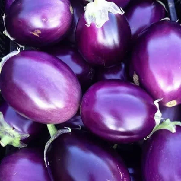 Desi Gulabi Brinjal (Baigan ke beej) Vegetable Seeds Pack Of 50 | Organic | for Planting in Home Kitchen Terrace Balcony Gardening