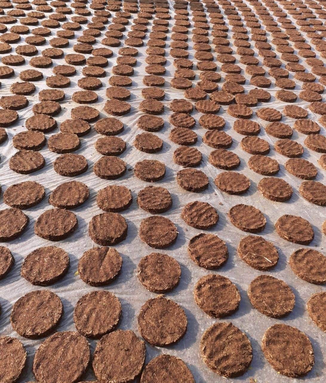     			SHIVSHAKTI Havan Saamagri Cow Dung Cake, ( Pack of 1 )