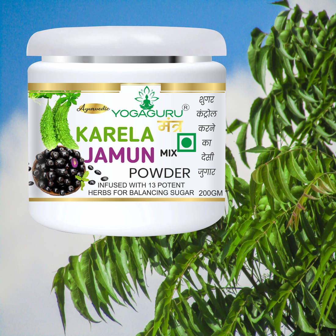     			Yogaguru Mantr Organics Powder 200 Gm