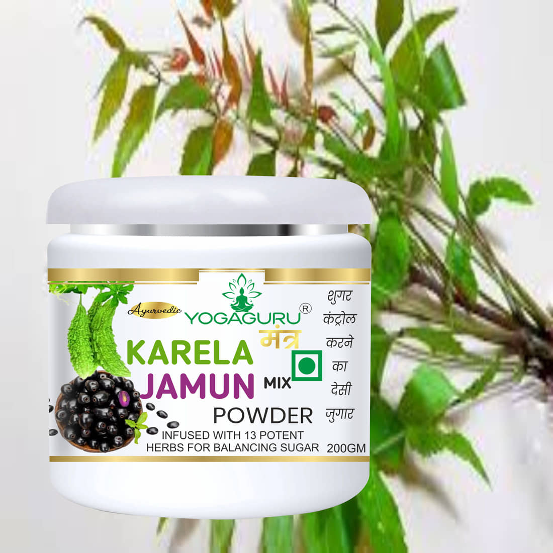 Yogaguru Mantr Organics Powder 200 Gm