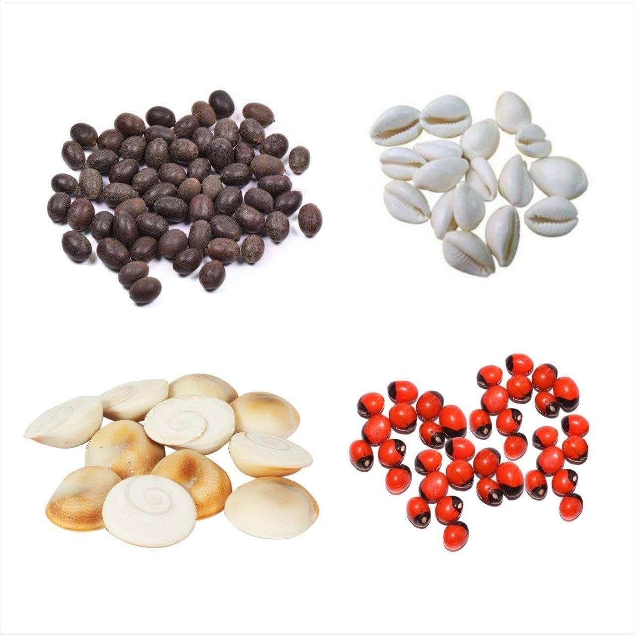     			SHIVSHAKTI Pooja Kit 1 ( Pack of 1 )