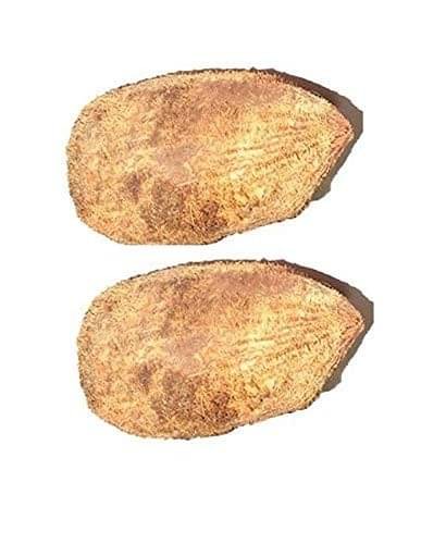     			SHIVSHAKTI Pooja Kit Ekakshi Nariyal Coconut ( Pack of 2 )