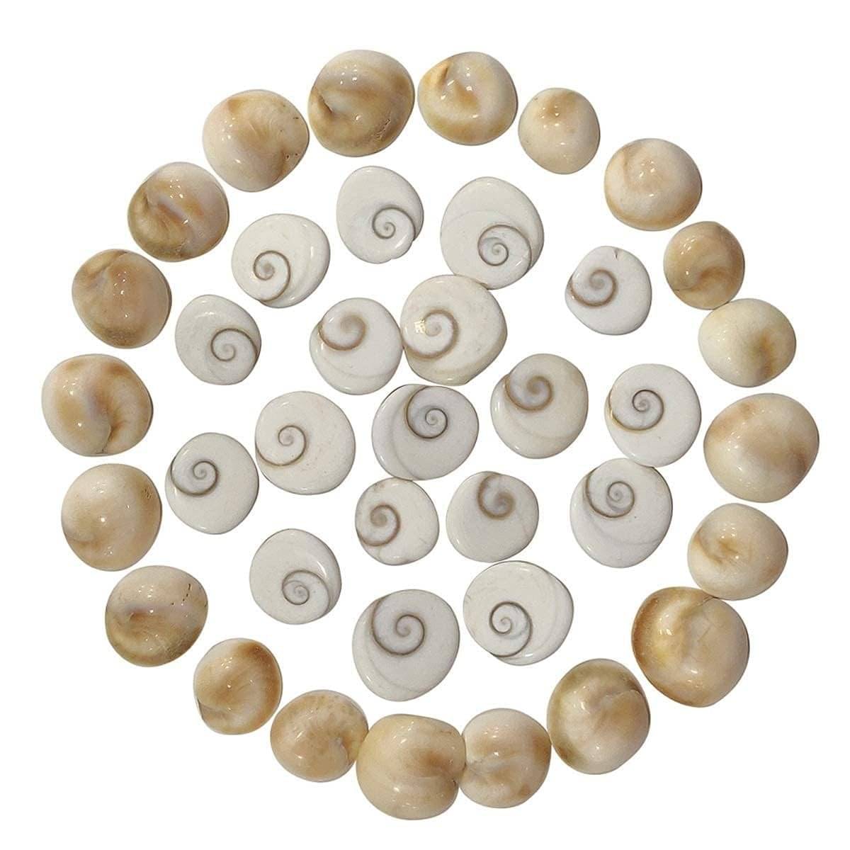     			SHIVSHAKTI Pooja Kit Gomti Chakra Stoneware ( Pack of 1 )