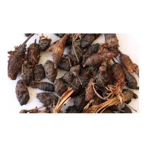     			SHIVSHAKTI Havan Kit 1 ( Pack of 1 )
