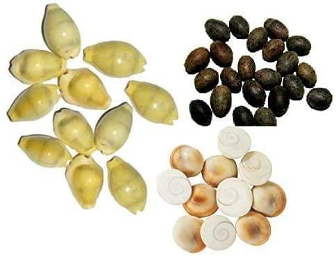     			SHIVSHAKTI Pooja Kit Mata Laxmi Puja ( Pack of 1 )