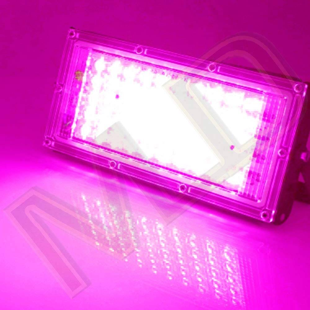 SPARKWORLD Flood Light Cool Day Light - Pack of 10 SPARKWORLD Flood Light Cool Day Light - Pack of 10