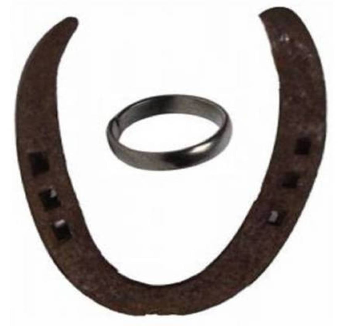     			Shri Astha Vinayak Iron Ghode Ki Naal