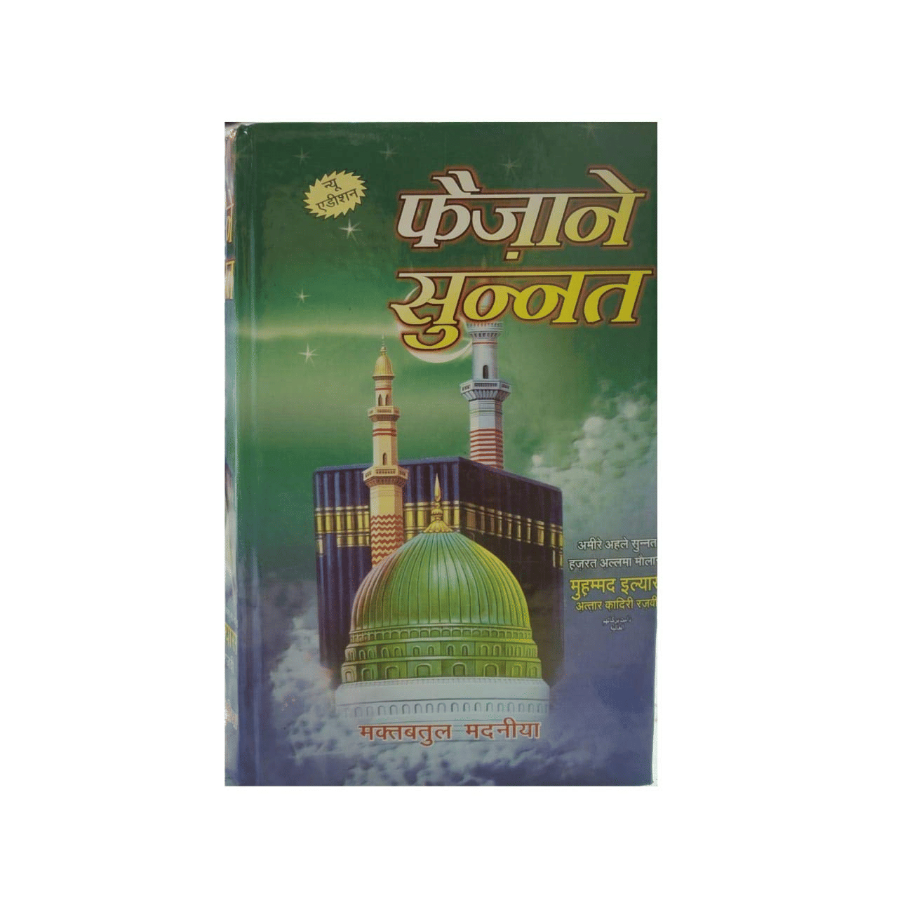     			Faizan e Sunnat (Hindi) (8285254860)