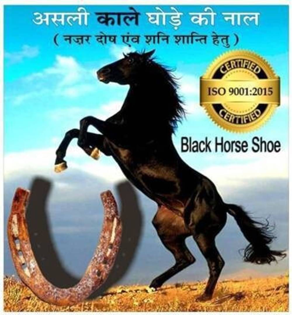     			Shri Astha Vinayak Iron Ghode Ki Naal