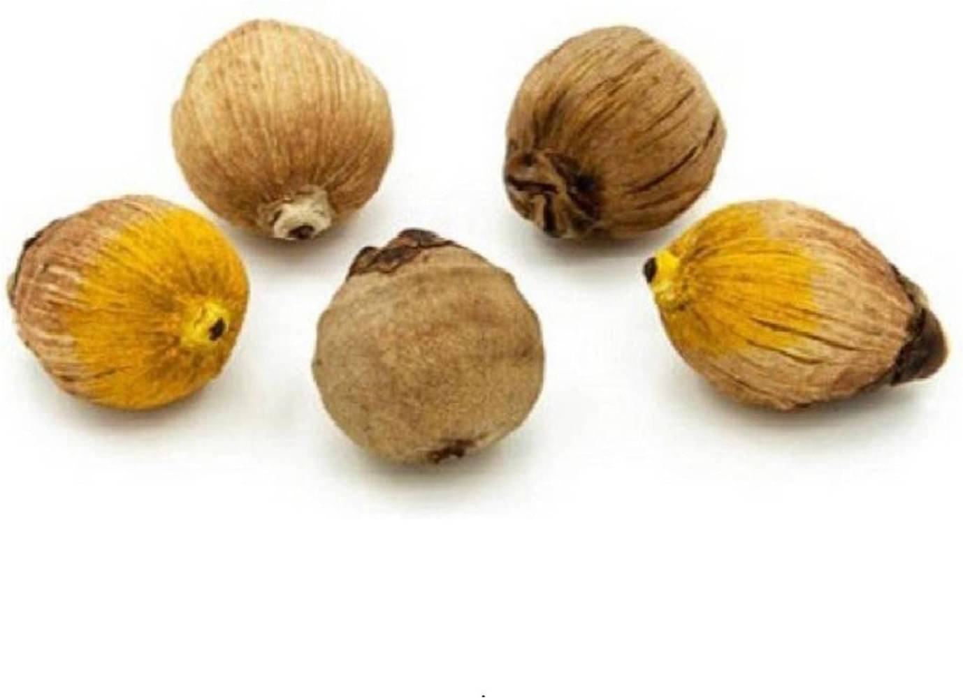     			Shri Astha Vinayak Laghu Nariyal 5 ( Pack of 5 )