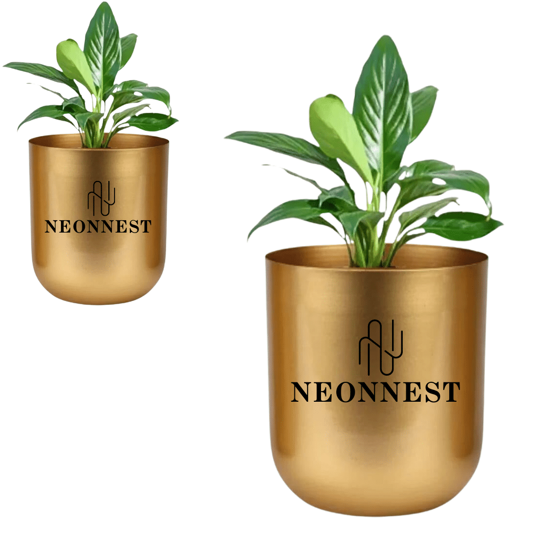     			Neonnest Gold Metal Flower Pot ( Pack of 2 )