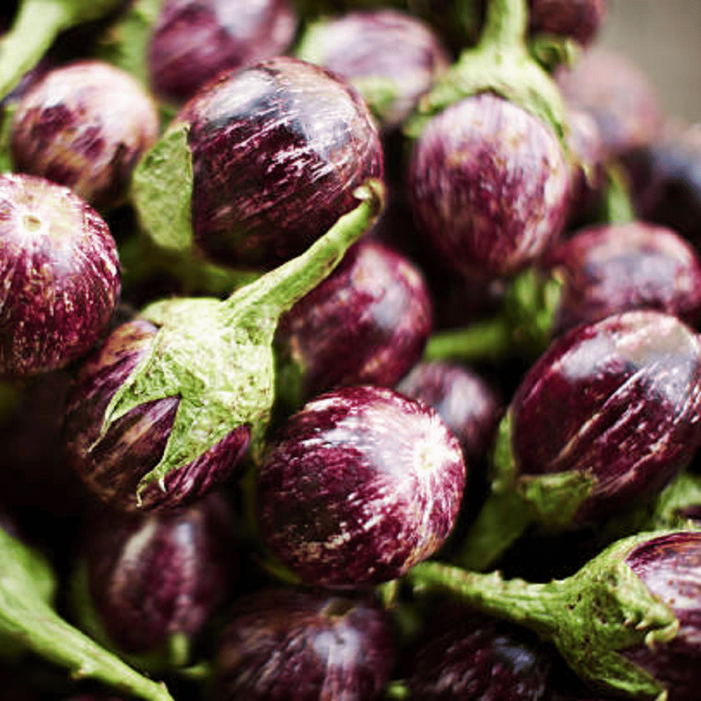 Jignisha Seeds Eggplant Vegetable ( 50 Seeds ) Jignisha Seeds Eggplant Vegetable ( 50 Seeds )