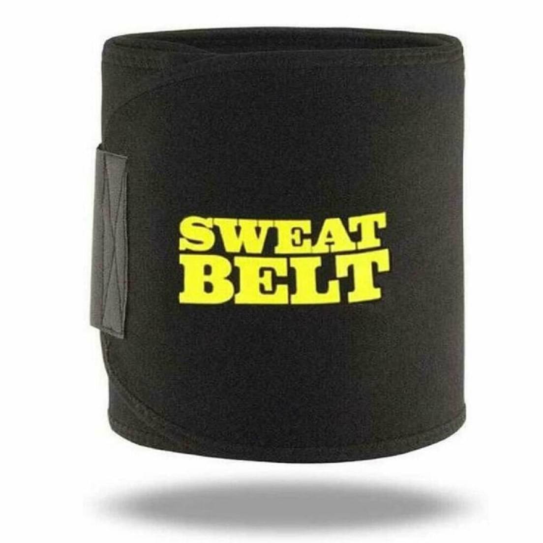     			OMLITE BLACK Safety Belt