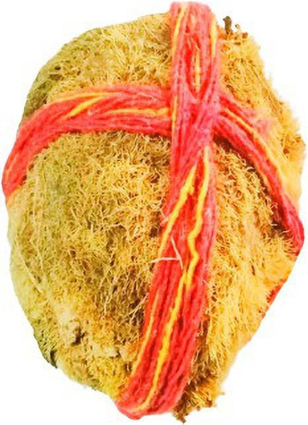     			Shri Astha Vinayak Ekakshi Nariyal 1 ( Pack of 1 )