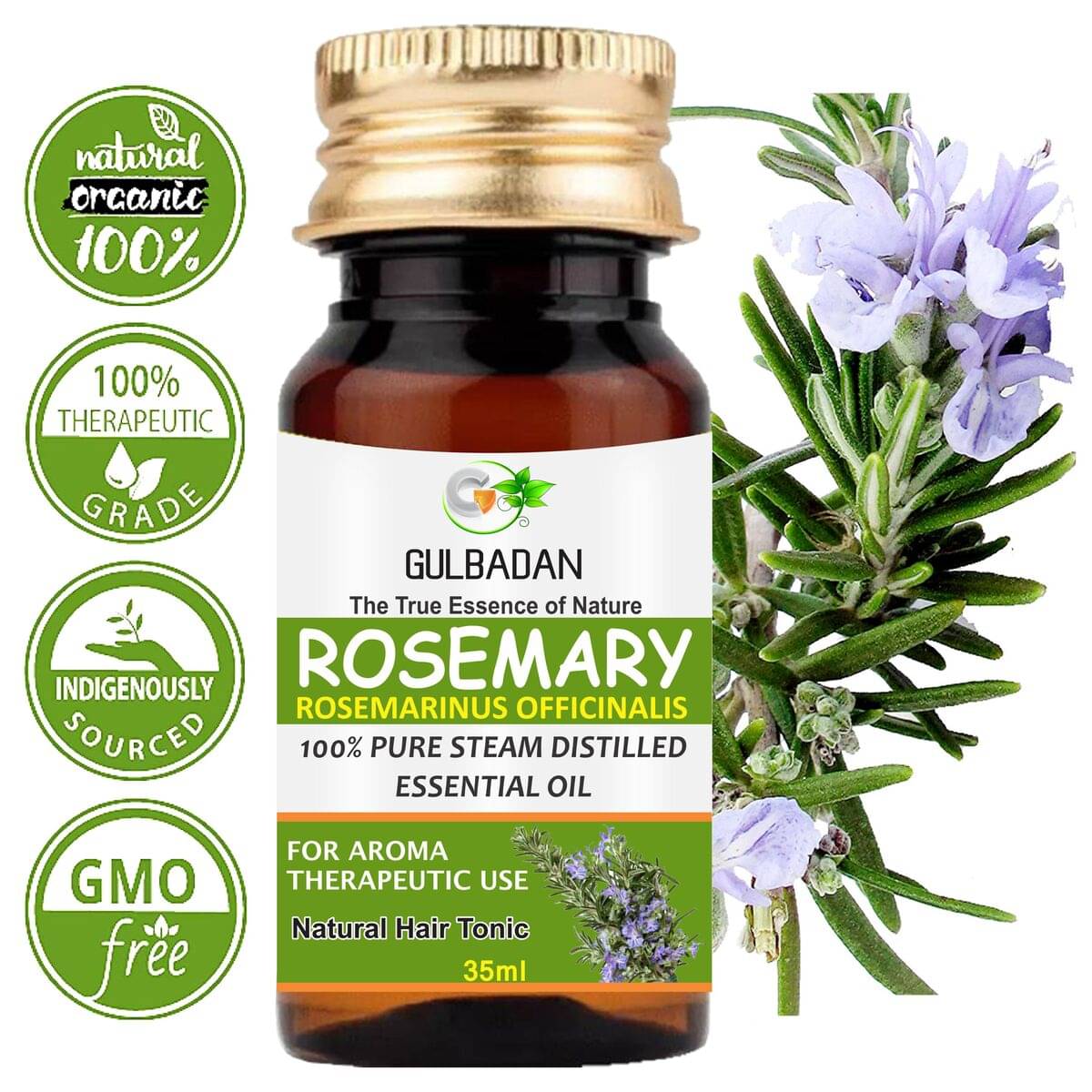     			GULBADAN Rosemary Essential Oil 35 mL ( Pack of 1 )