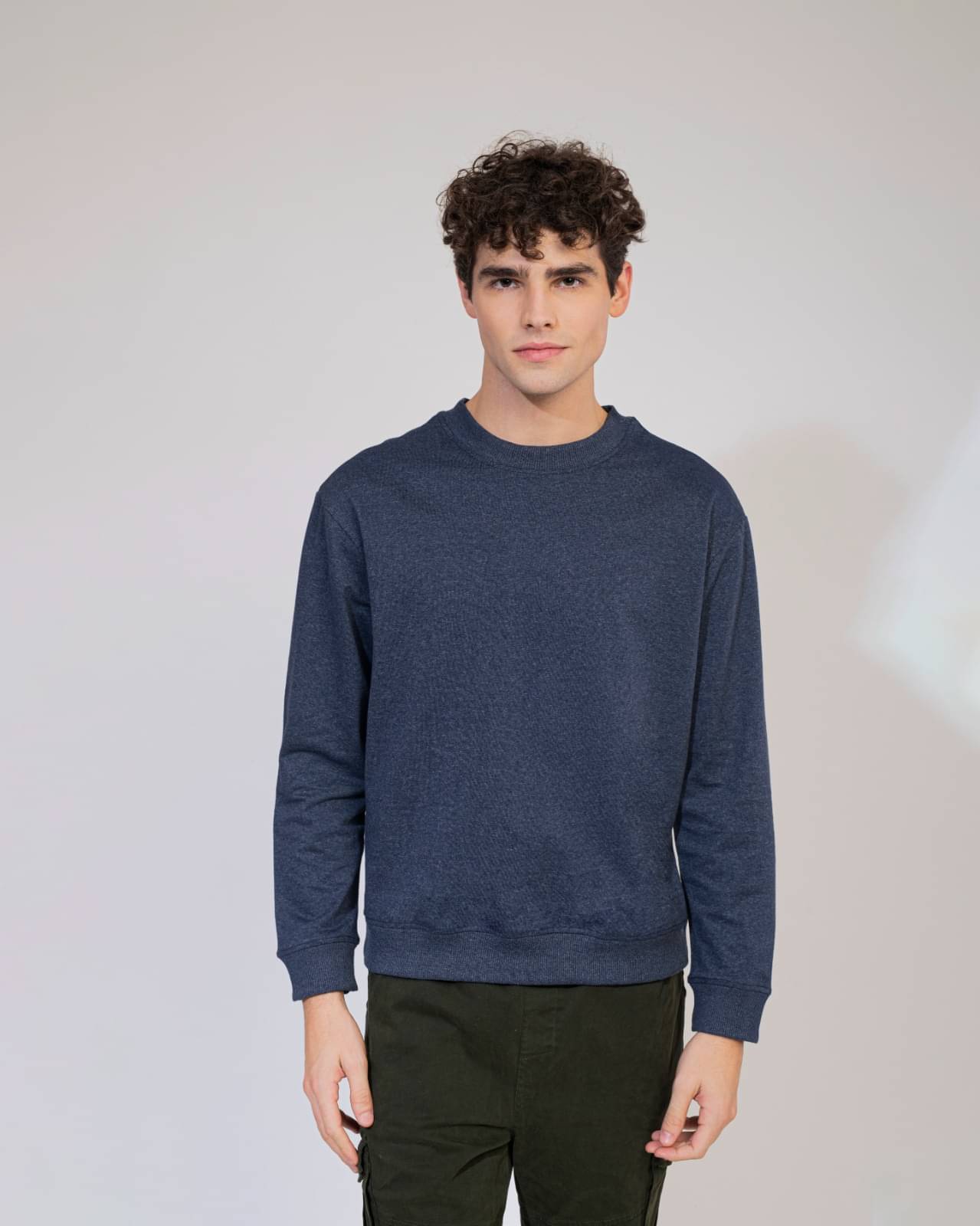     			ELBATROSS Terry Blend Round Neck Men's Sweatshirt - Navy Blue ( Pack of 1 )