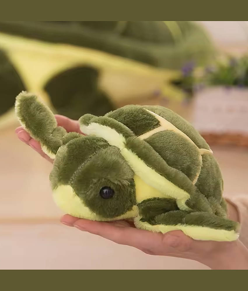 India Tortoise Teddy Bear ToYBULK Teddy Bear Feet Under 300 Teddy