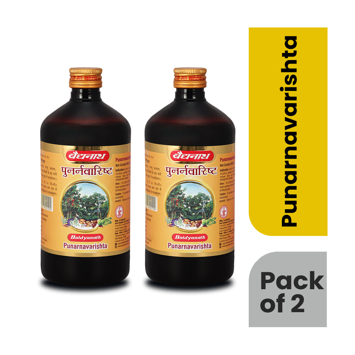 Baidyanath Punarnavarishta for Liver Problems & Kidney Disorders 450ml (Pack of 2)