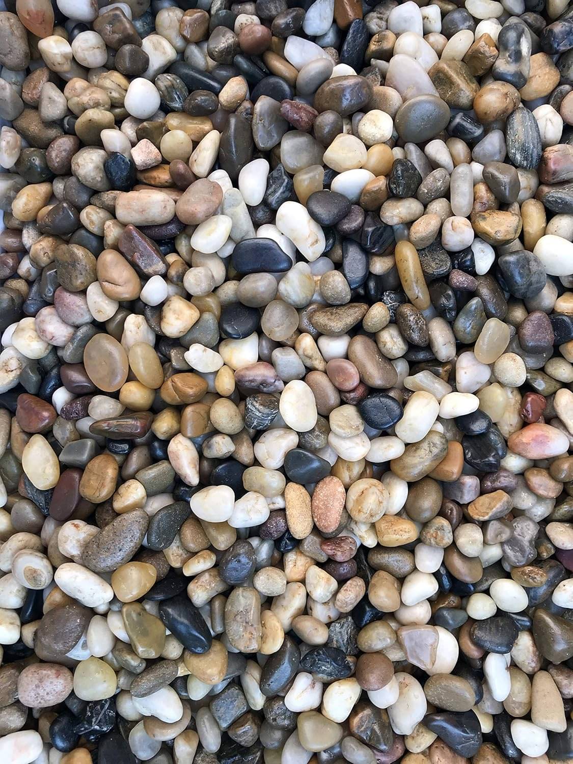 Green plant indoor Natural Stones Green plant indoor Natural Stones