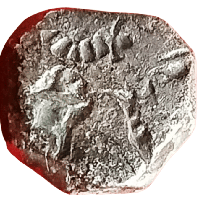     			Silver Mauryan PMC Type