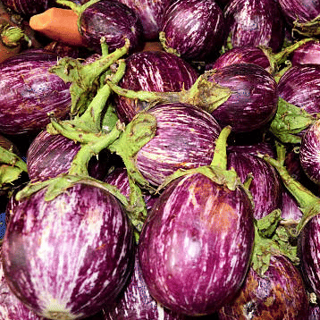     			Jignisha Seeds Kateri Brinjal Vegetable ( 50 Seeds )