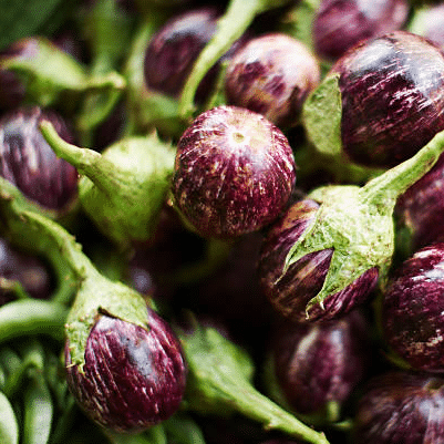 Jignisha Seeds Kateri Brinjal Vegetable ( 50 Seeds ) Jignisha Seeds Kateri Brinjal Vegetable ( 50 Seeds )