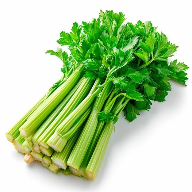 Jignisha Seeds Celery Vegetable ( 100 Seeds ) Jignisha Seeds Celery Vegetable ( 100 Seeds )