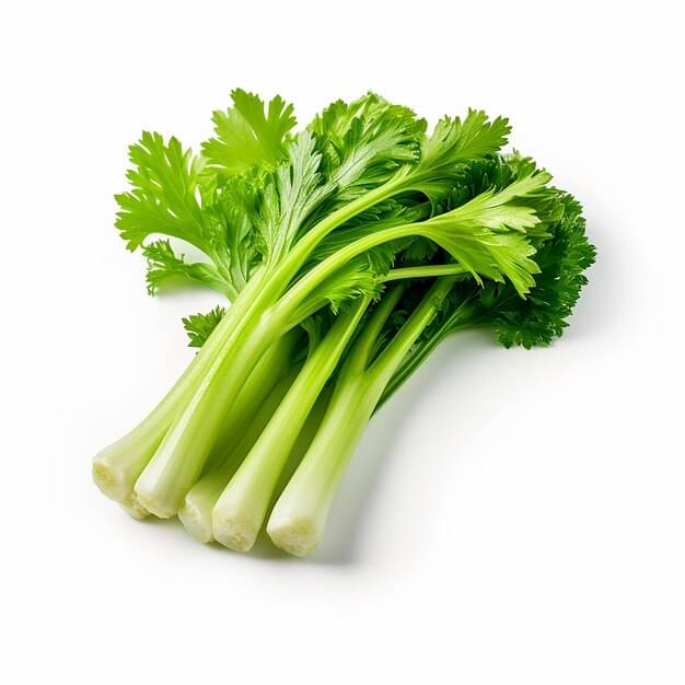 Jignisha Seeds Organic Celery Vegetable ( 100 Seeds ) Jignisha Seeds Organic Celery Vegetable ( 100 Seeds )
