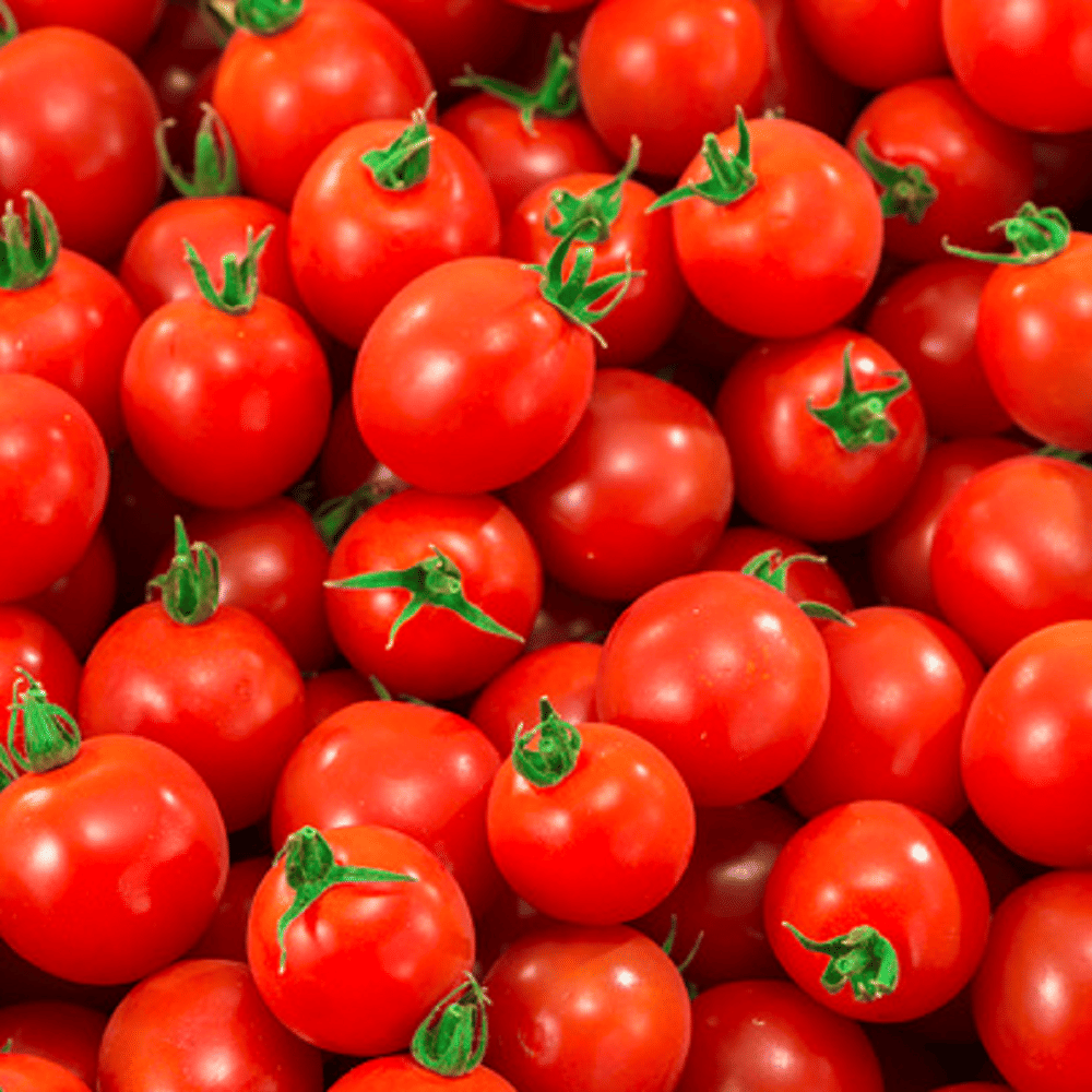 Jignisha Seeds Red Cherry Tomato Vegetable ( 50 Seeds ) Jignisha Seeds Red Cherry Tomato Vegetable ( 50 Seeds )