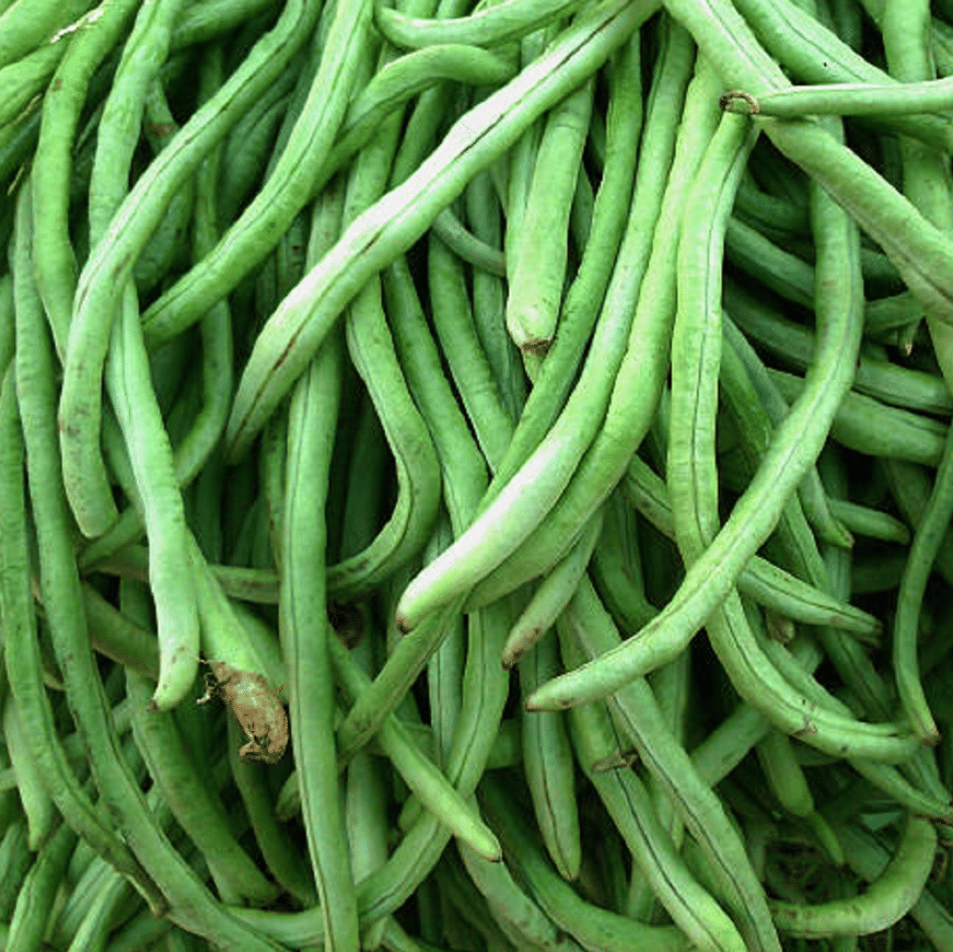 Jignisha Seeds Organic Cowpea Vegetable ( 50 Seeds )