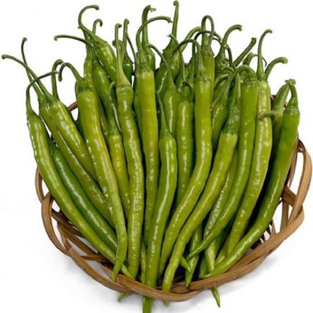 Jignisha Seeds Organic Green Chilli Vegetable ( 50 Seeds ) Jignisha Seeds Organic Green Chilli Vegetable ( 50 Seeds )