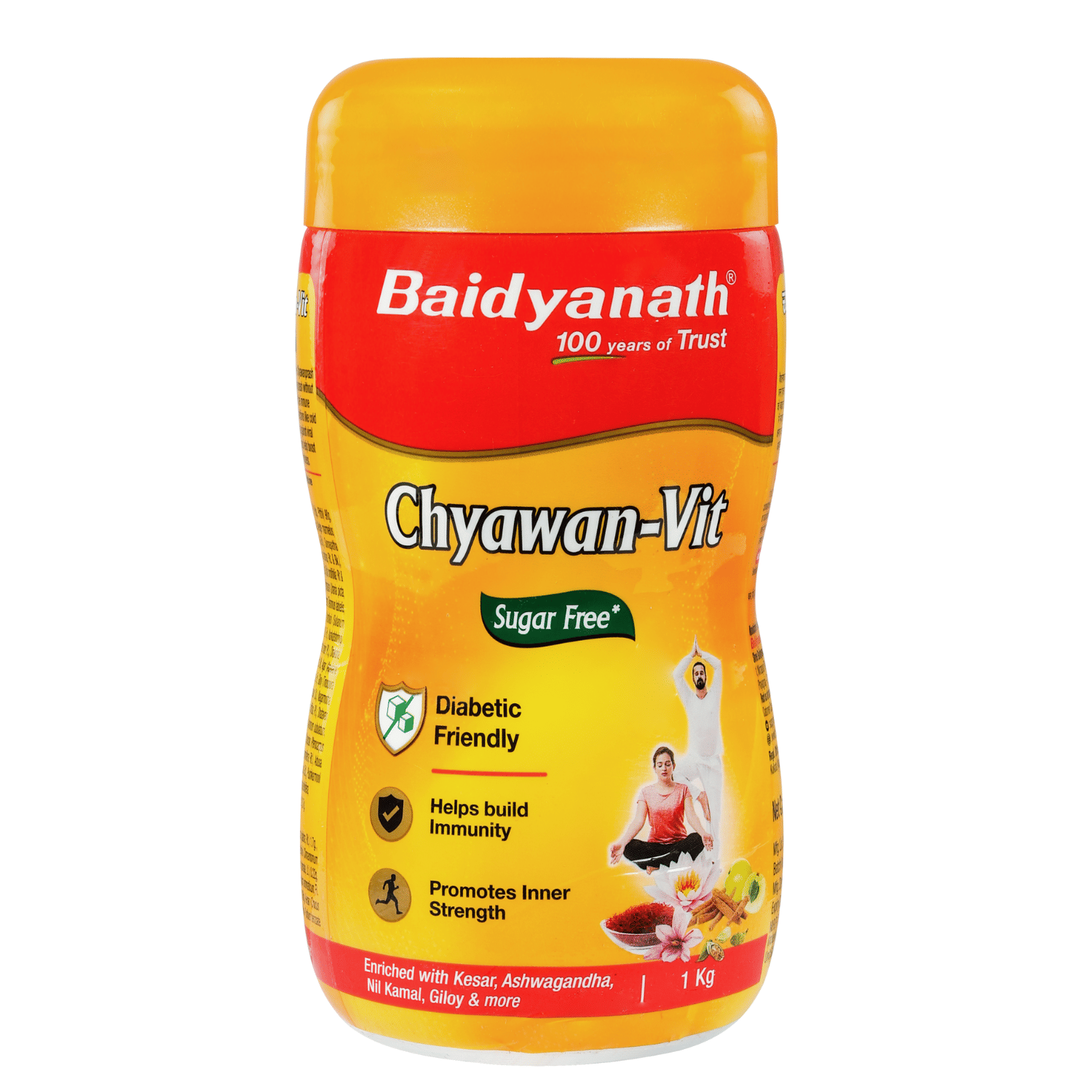 Baidyanath Sugarfree Chyawan Vit Specially formulated Chyawanprash with No Added Sugar 1kg (Pack of 1)