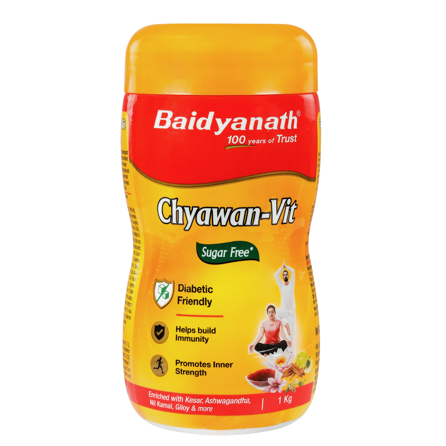     			Baidyanath Sugarfree Chyawan Vit Specially formulated Chyawanprash with No Added Sugar 1kg (Pack of 1)
