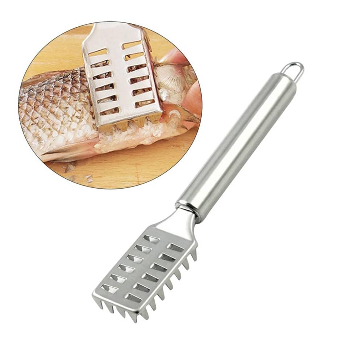 Bhavyta Silver Stainless Steel Fish Scale Scraper Remover Knife Skin Peeler ( Set of 1 ) Bhavyta Silver Stainless Steel Fish Scale Scraper Remover Knife Skin Peeler ( Set of 1 )