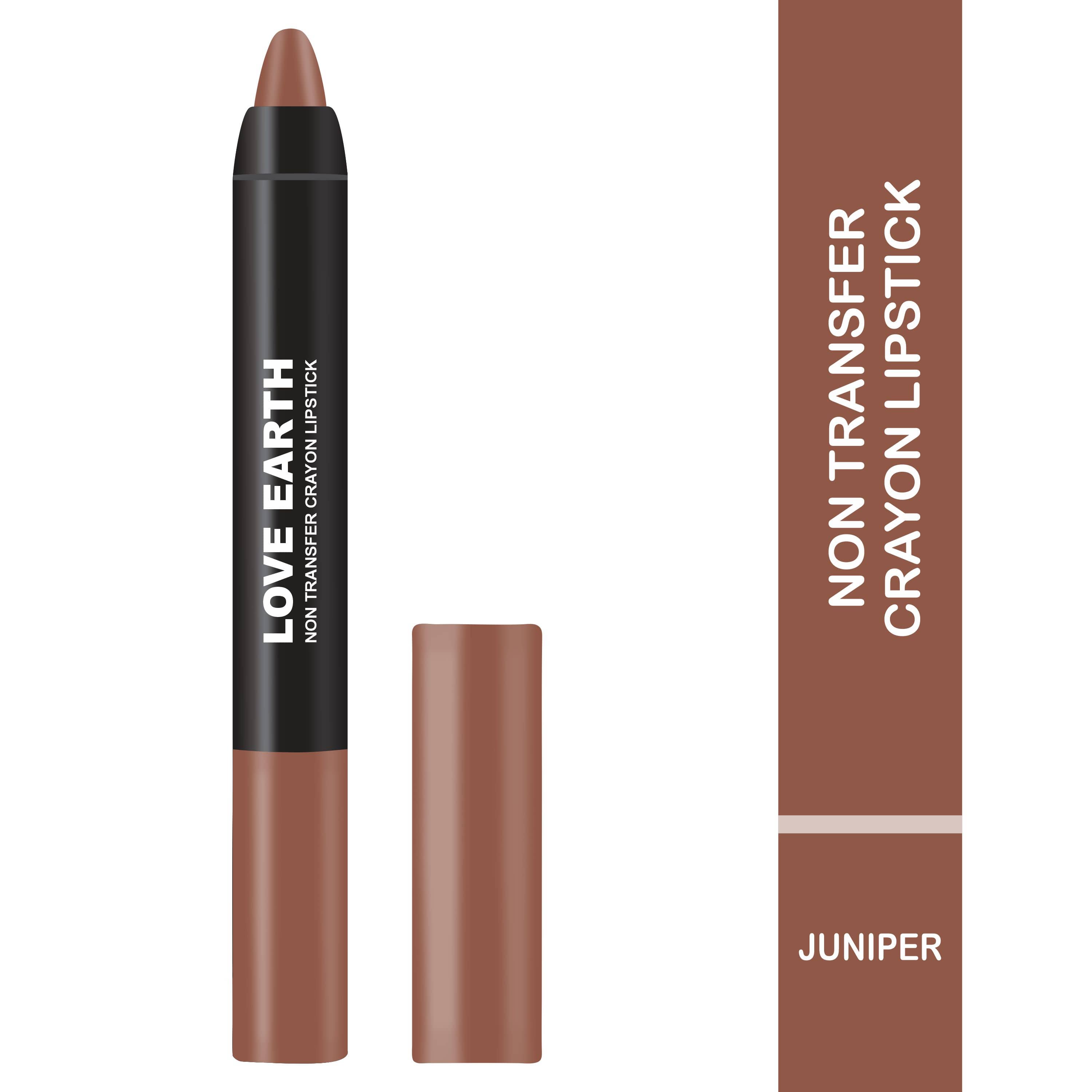 LOVE EARTH Brown Creme Lipstick 3.5GRM