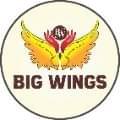 BIG WINGS