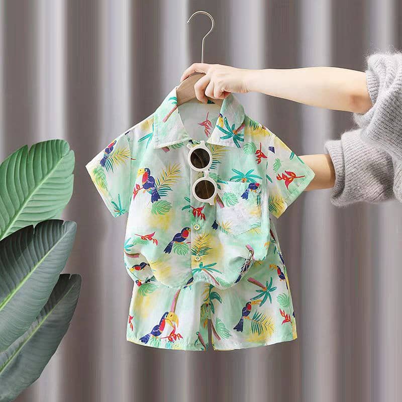Ocvito Pack of 1 Baby Boys Cotton Blend Shirt & Shorts Set ( Green )