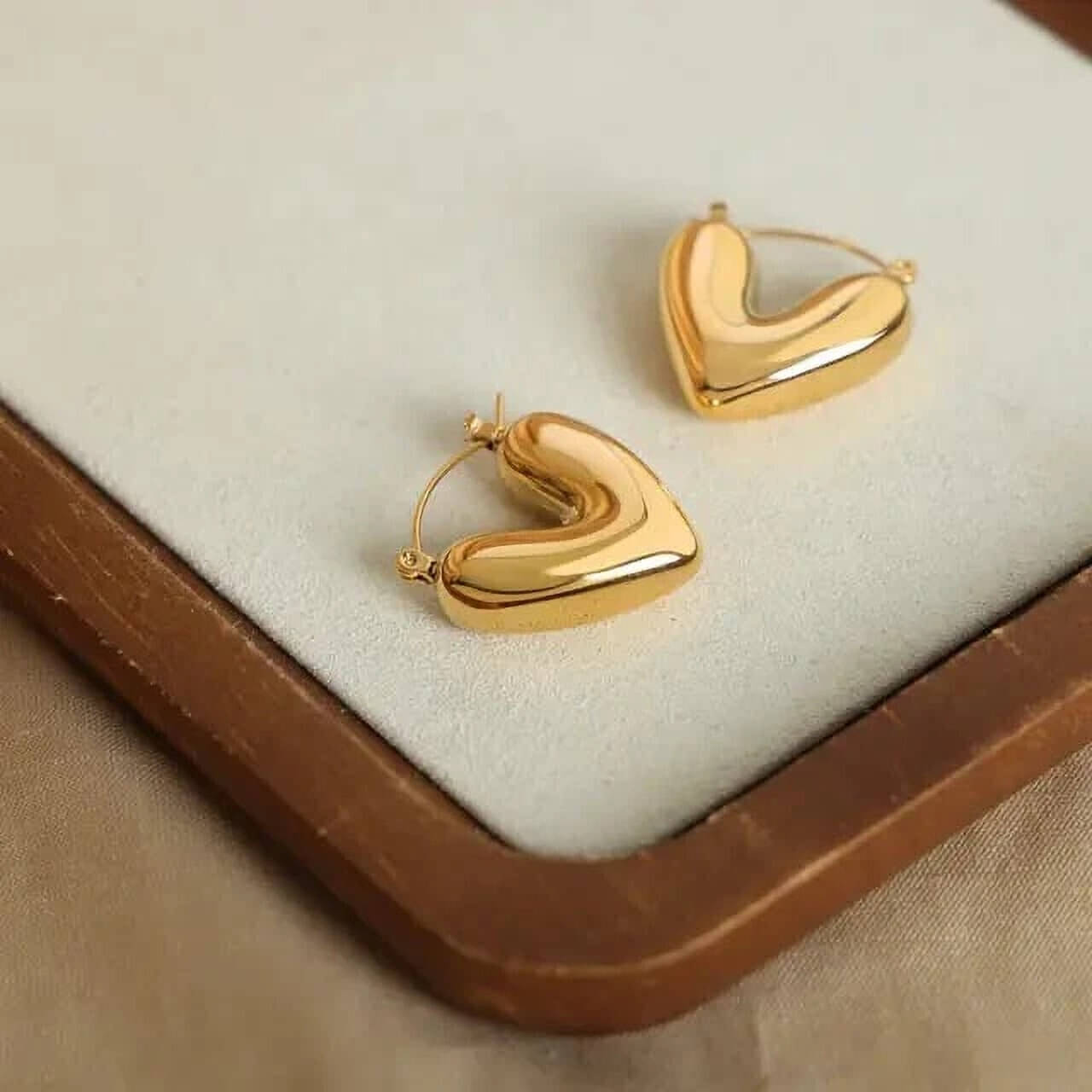     			Lady Raiment Golden Hoops Earrings ( Pack of 1 )