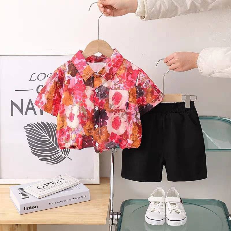 Ocvito Pack of 1 Baby Boys Cotton Blend Shirt & Shorts Set ( Multi ) Ocvito Pack of 1 Baby Boys Cotton Blend Shirt & Shorts Set ( Multi )