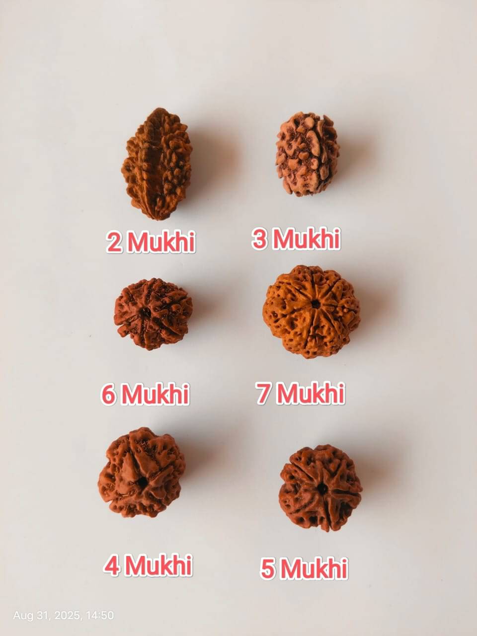 VIDHAN ART Bead ( Pack of 6 ) VIDHAN ART Bead ( Pack of 6 )