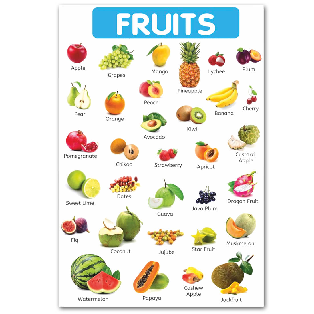     			Tatmods™ Fruits Poster For Tution,Home,School Decor Vinayl Sticker (13x19 inch)