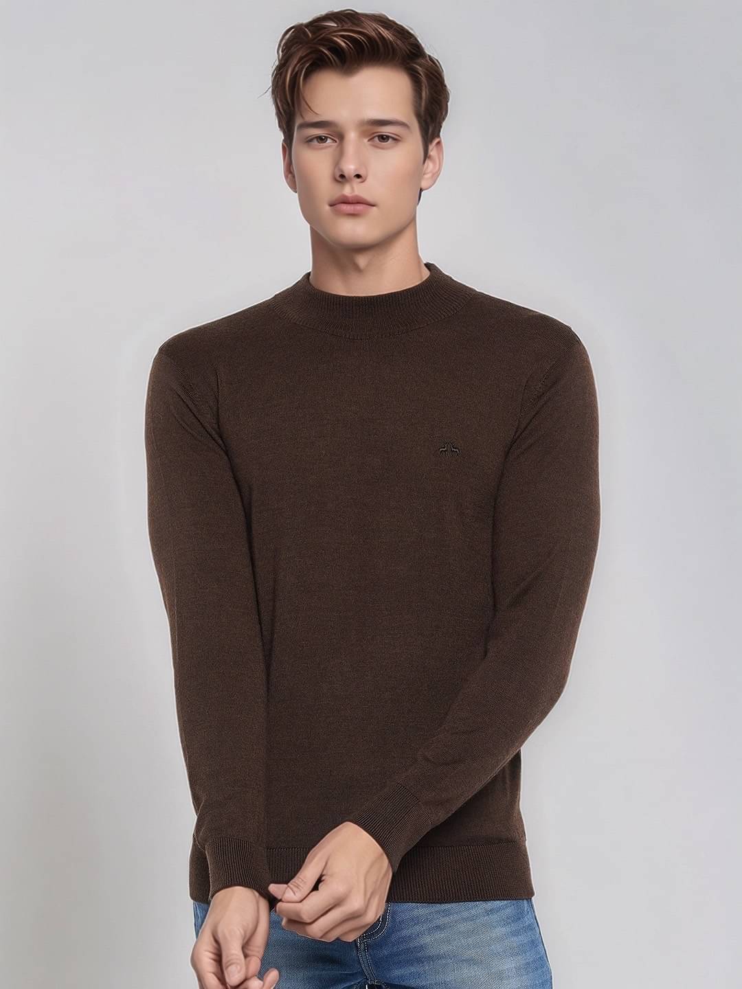 98 Degree North Woollen Blend High Neck Men's Full Sleeves Pullover Sweater - Coffee ( Pack of 1 ) 98 Degree North Woollen Blend High Neck Men's Full Sleeves Pullover Sweater - Coffee ( Pack of 1 )