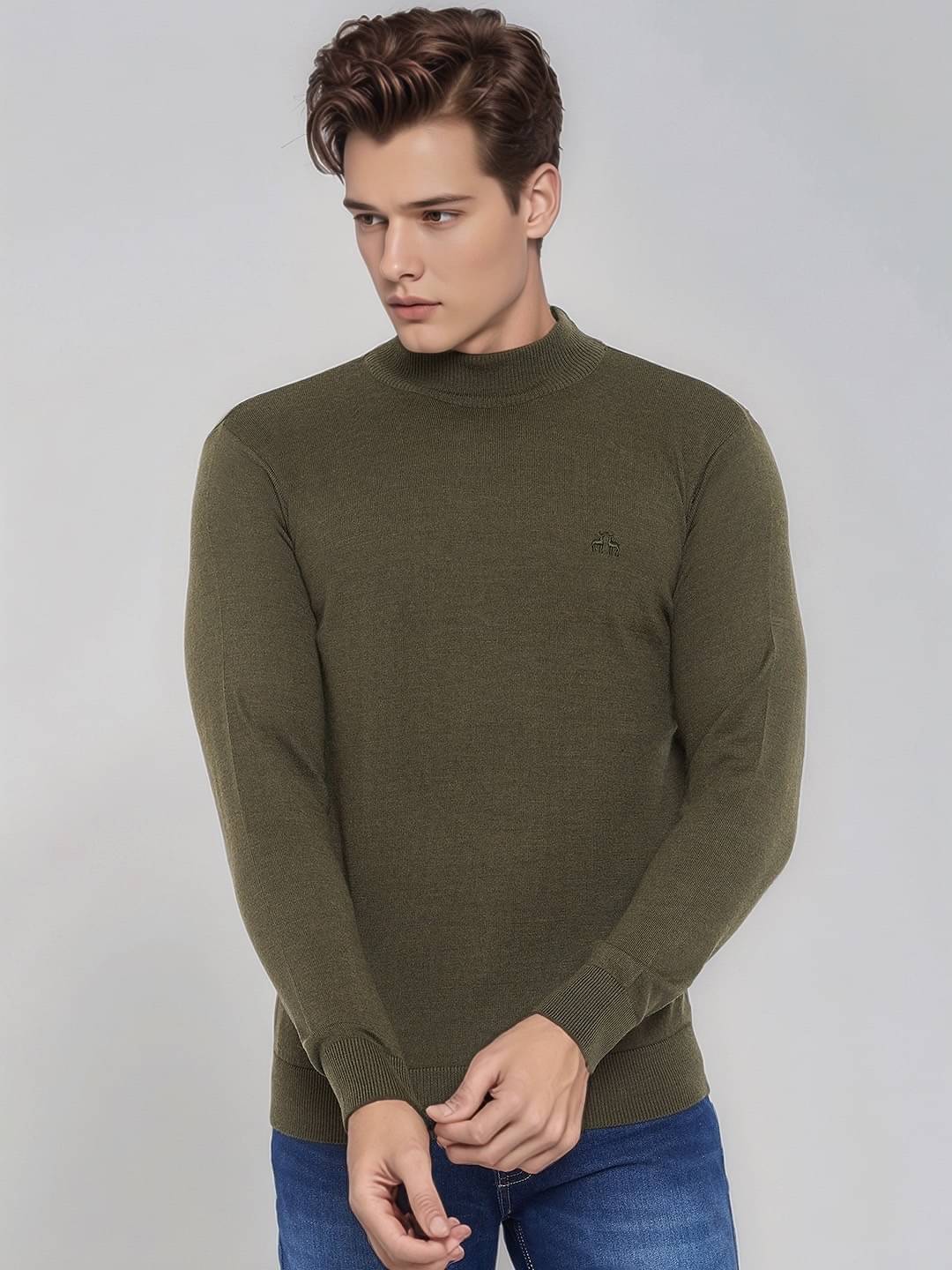 98 Degree North Woollen Blend High Neck Men's Full Sleeves Pullover Sweater - Olive ( Pack of 1 )     			98 Degree North Woollen Blend High Neck Men's Full Sleeves Pullover Sweater - Olive ( Pack of 1 )