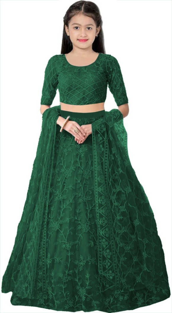     			FULPARI Net Lehenga Choli Set For Girls ( Pack of 1 , Green )