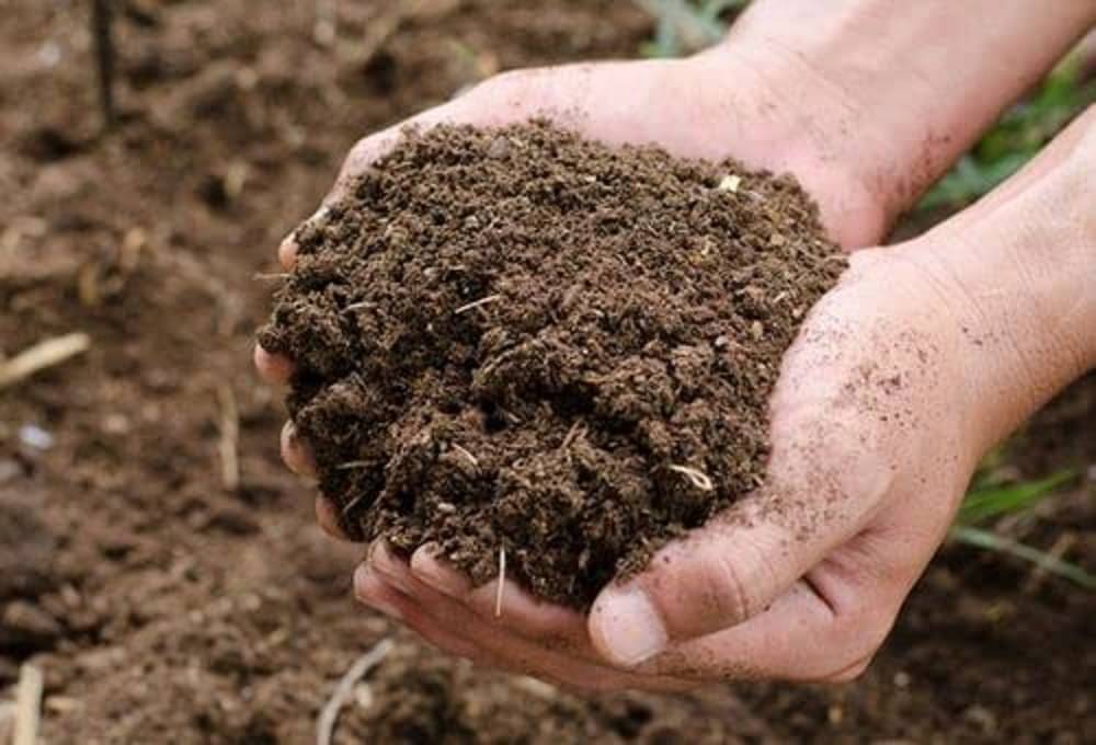 Organic Vermicompost 5 KG Organic Vermicompost 5 KG