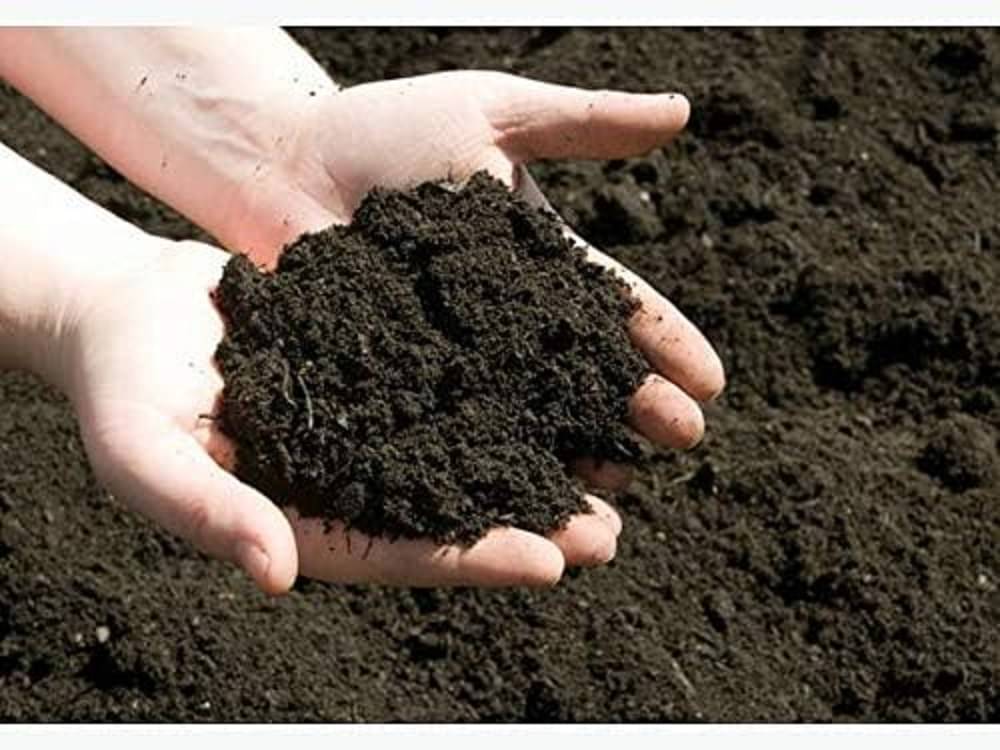 Organic Vermicompost 5 KG Organic Vermicompost 5 KG